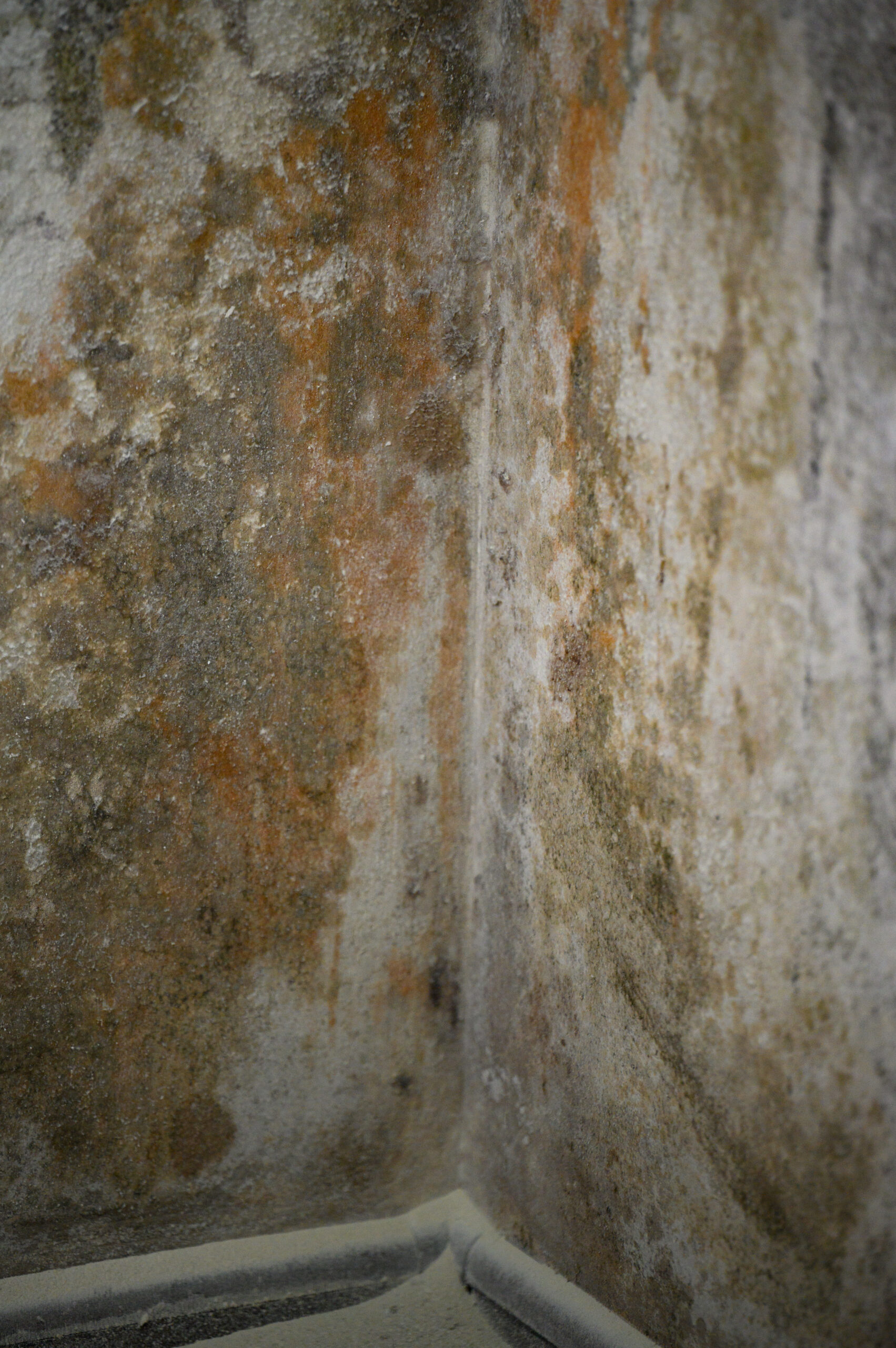 Mold Remediation Services Eldersburg Md 34 - x179lw4